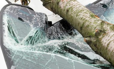 car insurance cover windshield damage caused by fallen tree